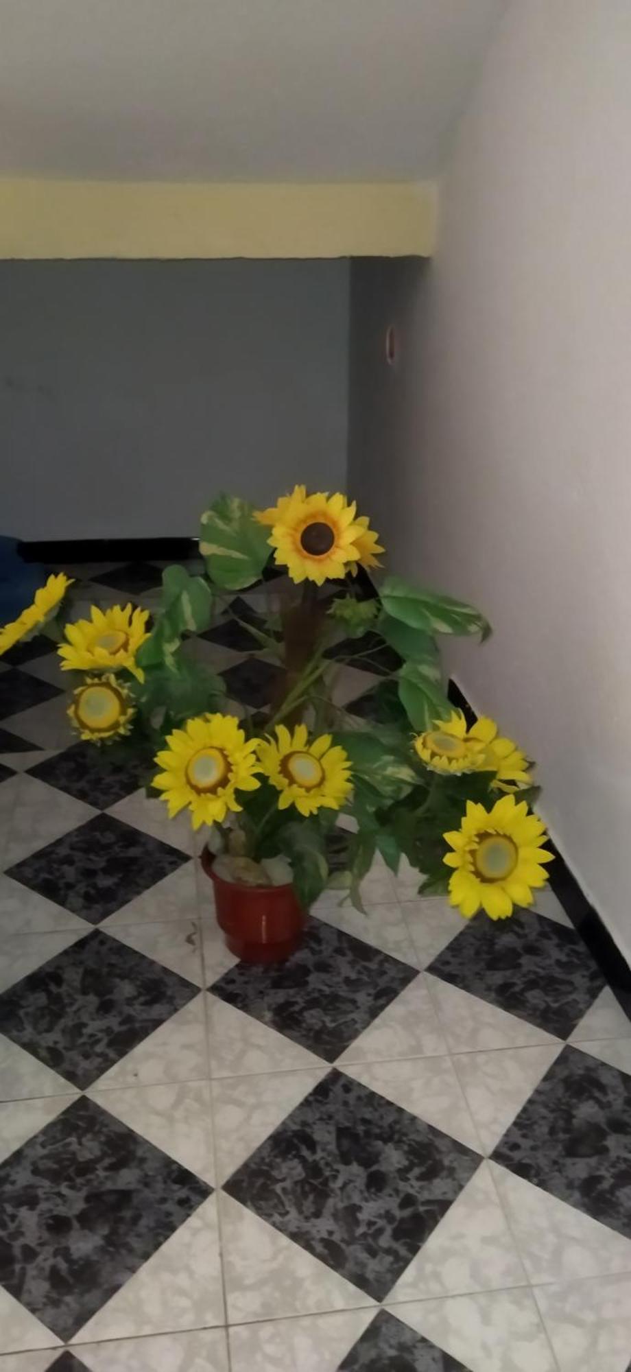 New Apartament Pogradec Kültér fotó